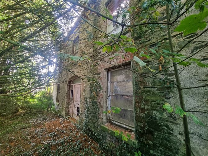 Derelict Georgian Dwelling, Clontibret, Monaghan