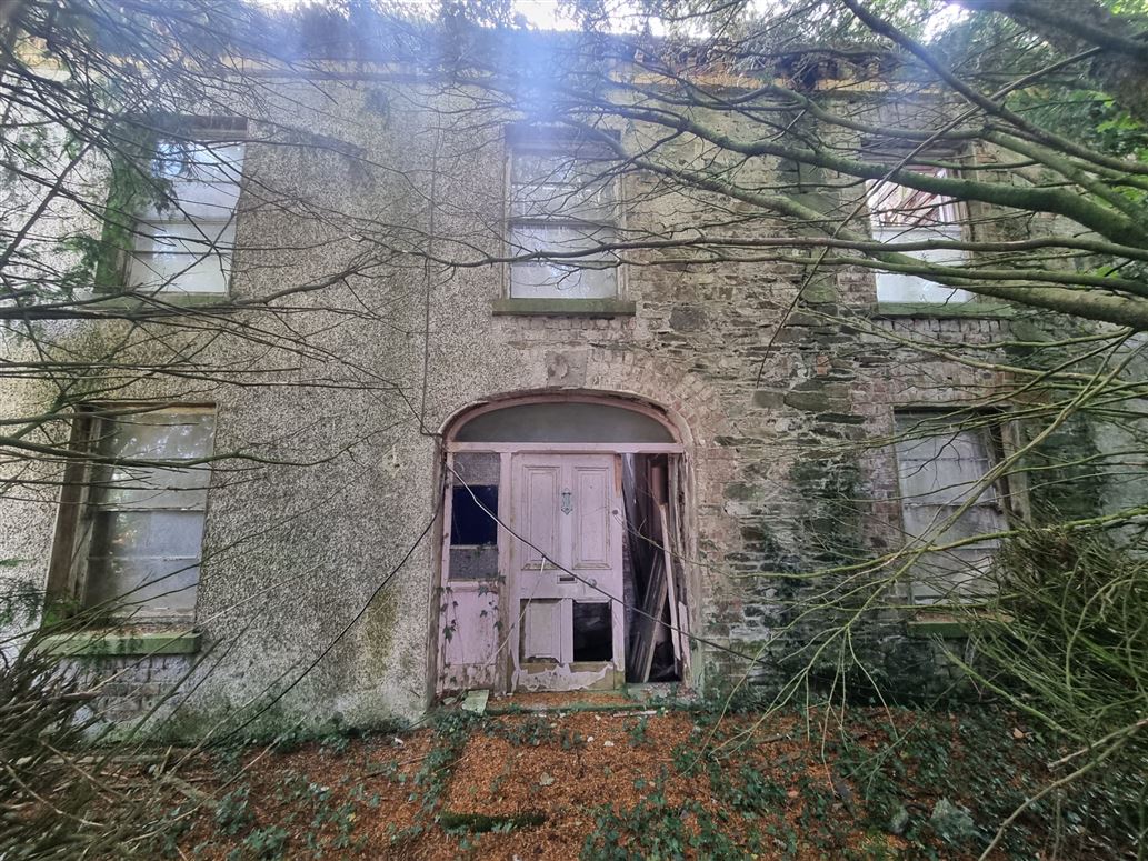 Derelict Georgian Dwelling, Clontibret, Monaghan