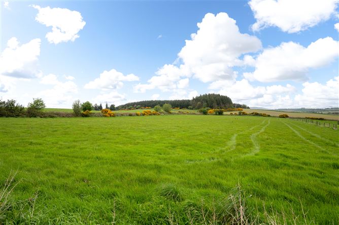 Ballinvalley Lower, Woodenbridge, Wicklow