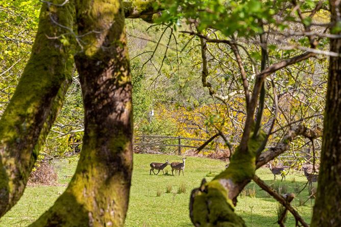 Ballyross, Enniskerry, Co. Wicklow