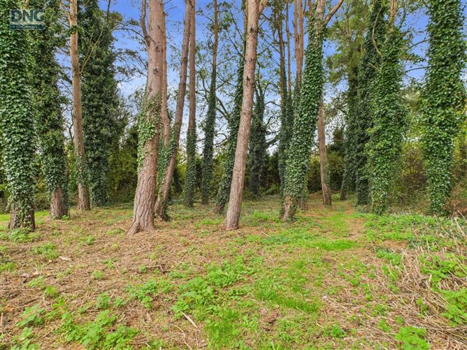 Derrymullen, Robertstown, Co. Kildare