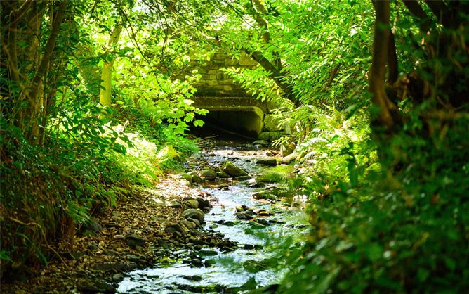 Knockmacool Lodge, Knockmacool, Enniskeane, West Cork