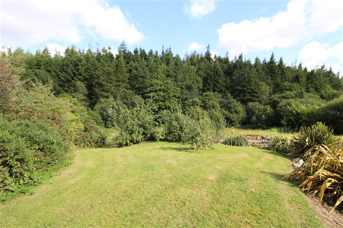 "Forest Lodge" Park Road, Camolin, Wexford