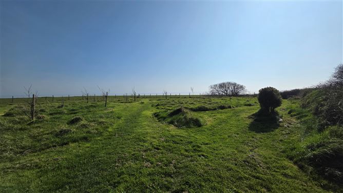 Lahard, Whitegate, East Cork