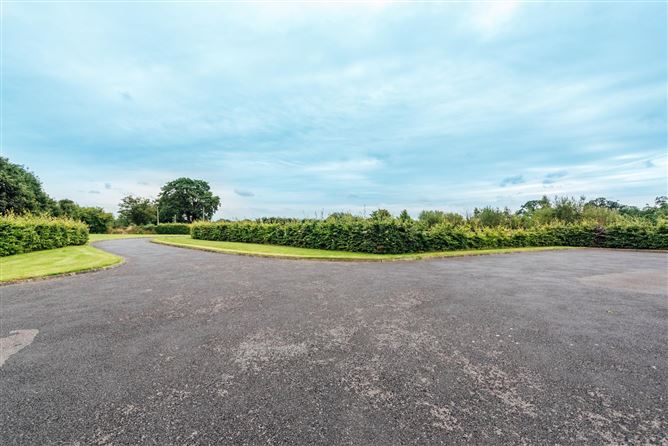 Doneany Cross, Kildangan, Co.Kildare, Kildangan, Kildare