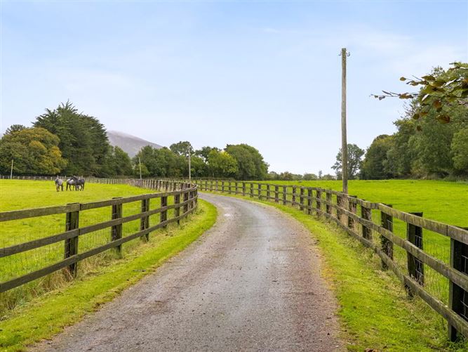 Talbotstown Fort, Kiltegan, Wicklow