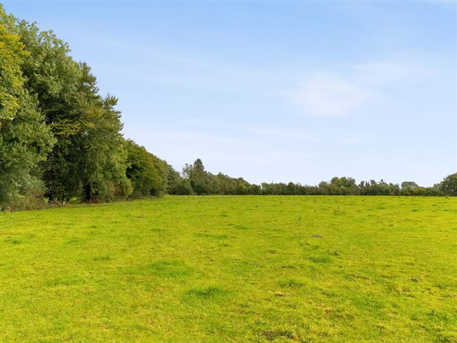 Talbotstown Fort, Kiltegan, Wicklow