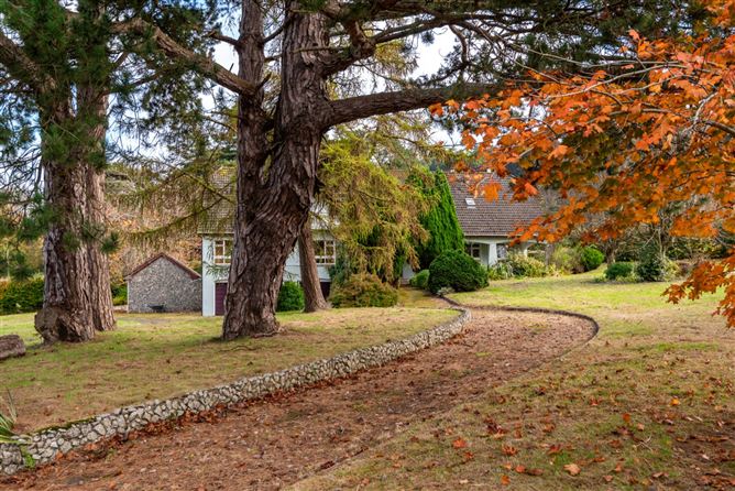 https://photos-a.propertyimages.ie/media/9/3/3/4844339/431bab2a-598d-488b-a30e-8e51d749e8ad_l.jpg