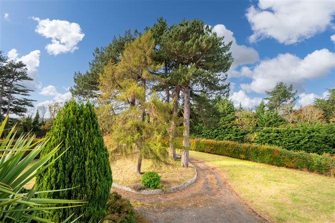 https://photos-a.propertyimages.ie/media/9/3/3/4844339/431bab2a-598d-488b-a30e-8e51d749e8ad_l.jpg