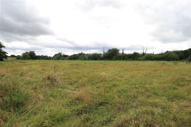 14.28 Acres Agri Lands At, Cloghna Lane, Milford, Carlow