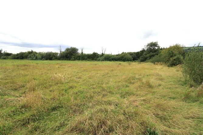 14.28 Acres Agri Lands At, Cloghna Lane, Milford, Carlow