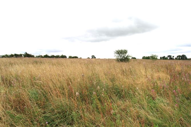 14.28 Acres Agri Lands At, Cloghna Lane, Milford, Carlow
