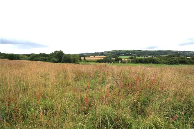 14.28 Acres Agri Lands At, Cloghna Lane, Milford, Carlow