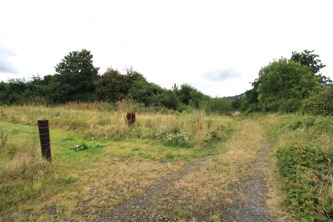14.28 Acres Agri Lands At, Cloghna Lane, Milford, Carlow