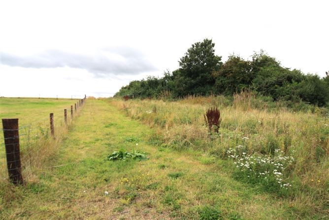 14.28 Acres Agri Lands At, Cloghna Lane, Milford, Carlow