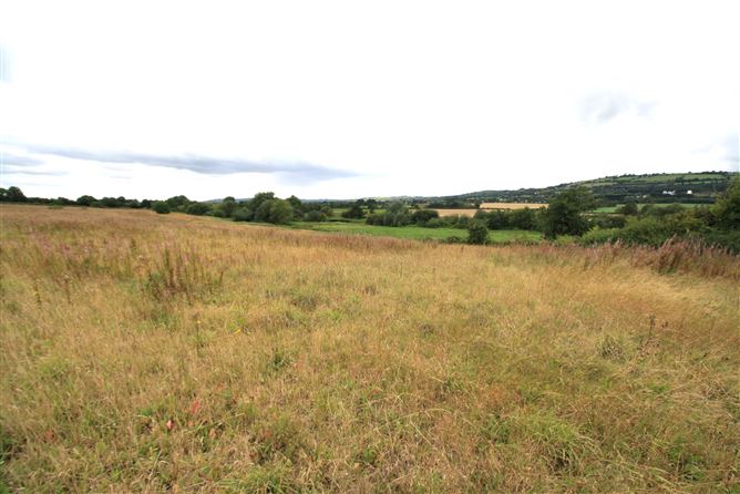 14.28 Acres Agri Lands At, Cloghna Lane, Milford, Carlow