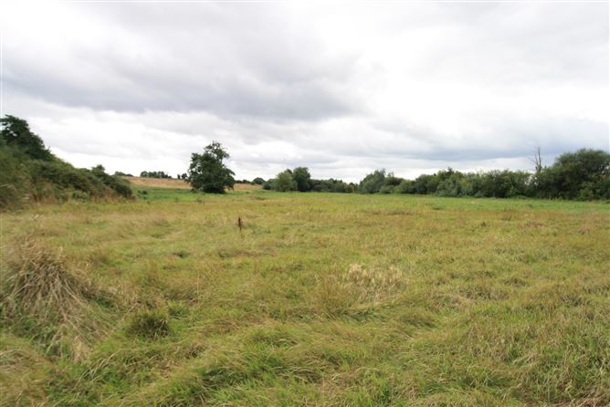 14.28 Acres Agri Lands At, Cloghna Lane, Milford, Carlow
