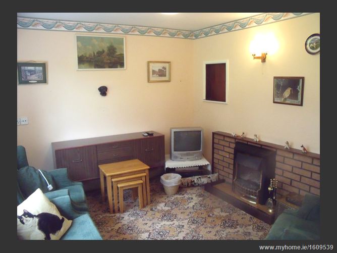 Lavan House, Carnew, Co. Wicklow