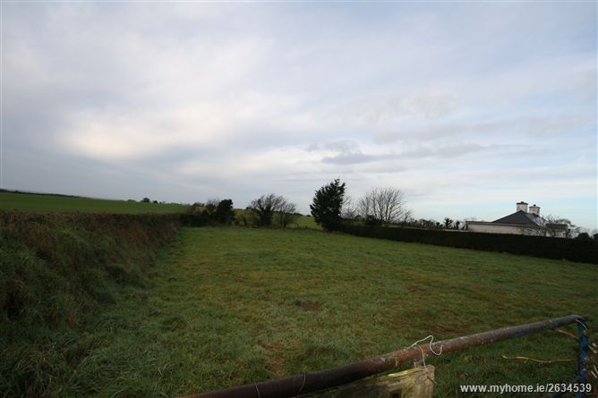 Nicholastown, Athy, Kildare