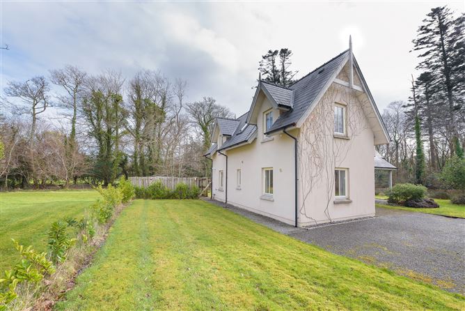 Dunkerron Woods, Kenmare, Kerry