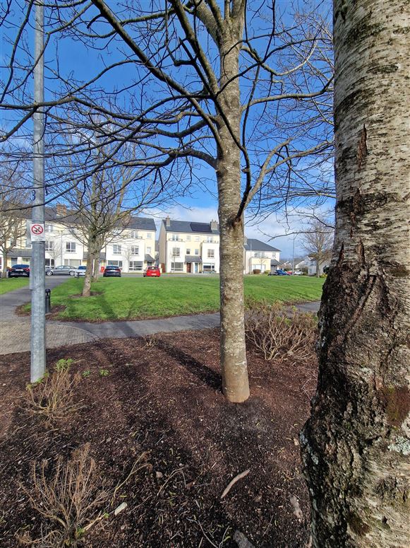 98 Creagán, Barna, Galway McKeown Estate Agents Ltd. 4687539