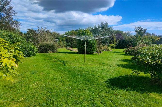 Gardamus Great, Mayglass, Wexford