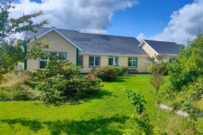 Gardamus Great, Mayglass, Wexford
