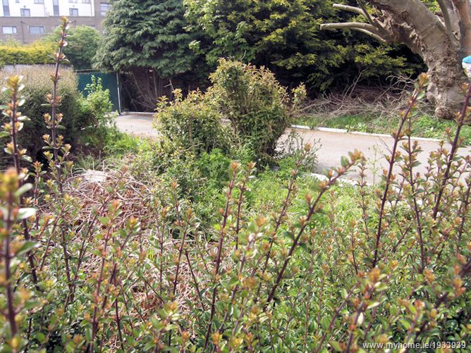 4 St Michaels Cottages, Hole In The Wall Road, Donaghmede,  Dublin 13