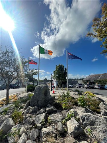 Residential Development Site on C. 0.35 Acres, Ballymore Eustace, Kildare