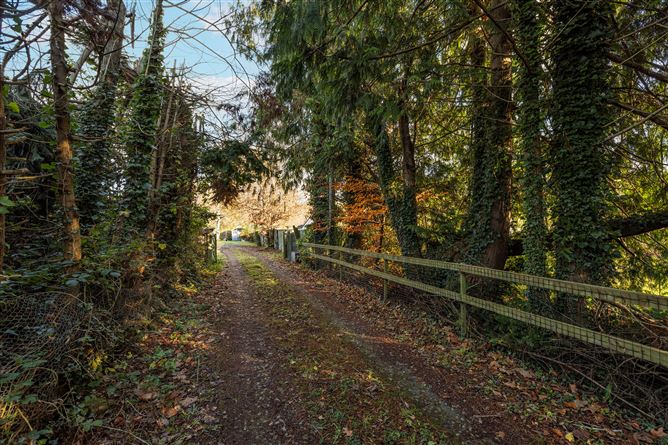 Rosnapalis, Chapel Lane, Aughrim, Co. Wicklow
