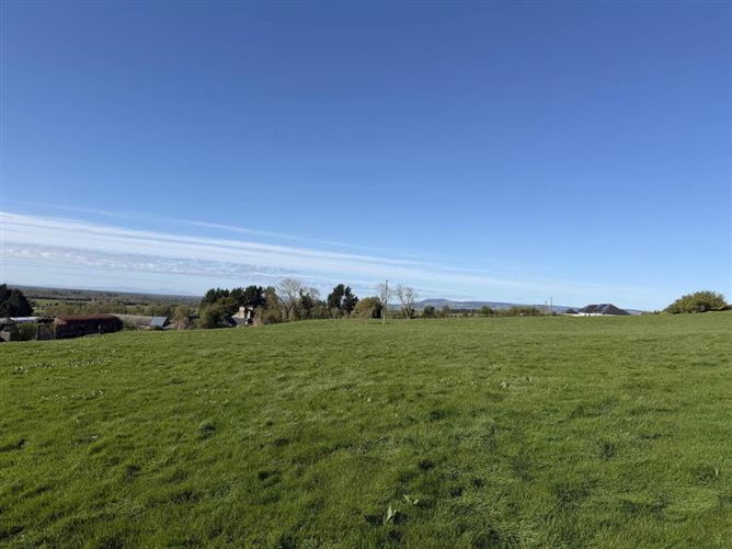 C. 3.25 Ha At Boulerea, Knock, Roscrea, Tipperary