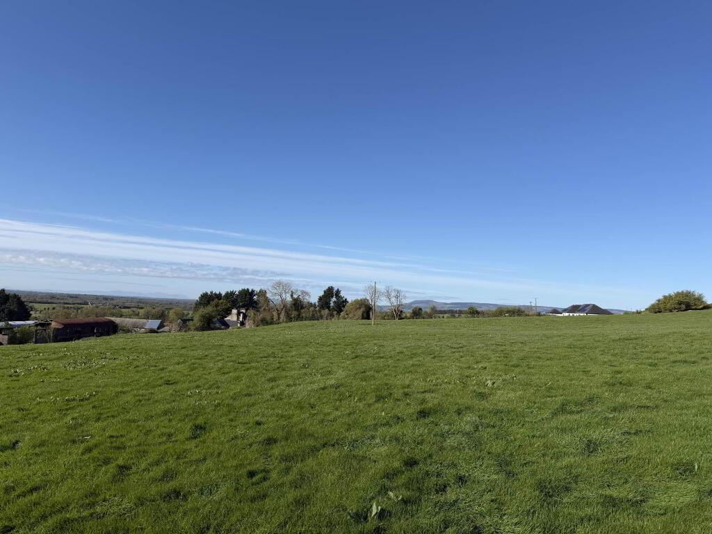 C. 3.25 Ha At Boulerea, Knock, Roscrea, Tipperary