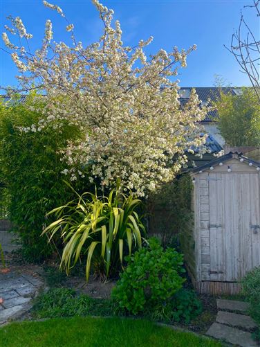 Photo 22 of 29 — 9 Broadfield Lawns, Rathcoole, Dublin