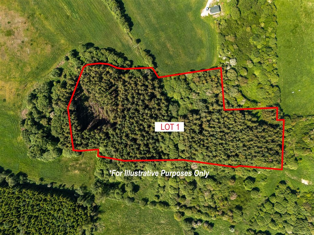 LOT 1, Gallen, Ferbane, Offaly