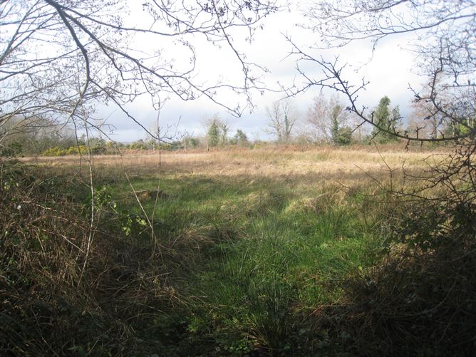 Barragh More, Drumlish, Longford