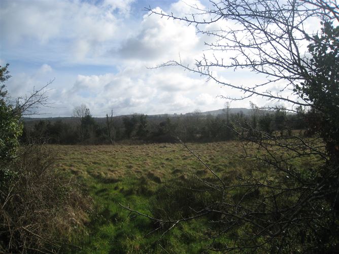 Barragh More, Drumlish, Longford