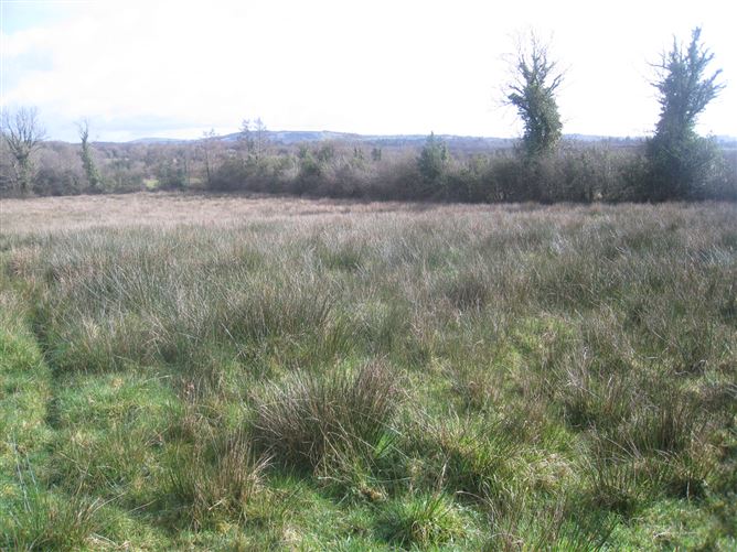 Barragh More, Drumlish, Longford