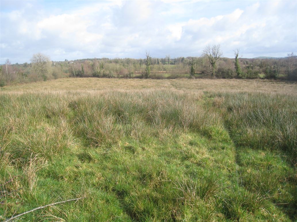 Barragh More, Drumlish, Longford