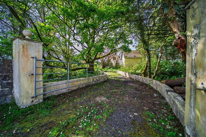 Lissadrone, Ballycastle, Co. Mayo