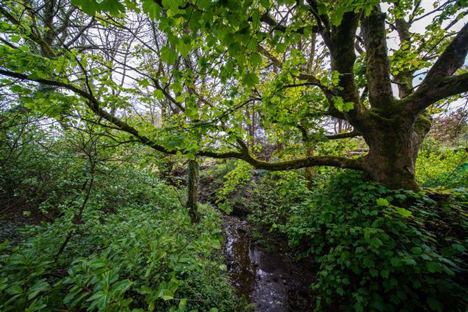 Lissadrone, Ballycastle, Co. Mayo
