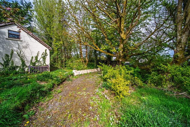 Lissadrone, Ballycastle, Co. Mayo