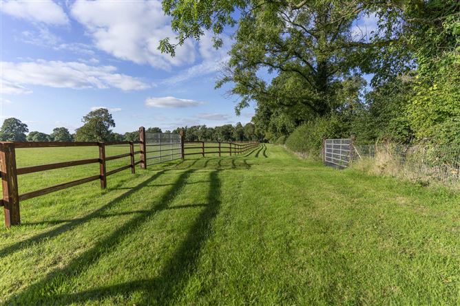 Martinstown, The Curragh, - approx. 31 acres, Co. Kildare