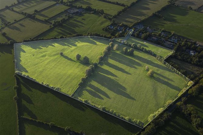 Martinstown, The Curragh, - approx. 31 acres, Co. Kildare