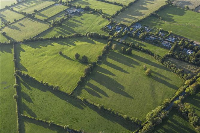 Martinstown, The Curragh, - approx. 31 acres, Co. Kildare