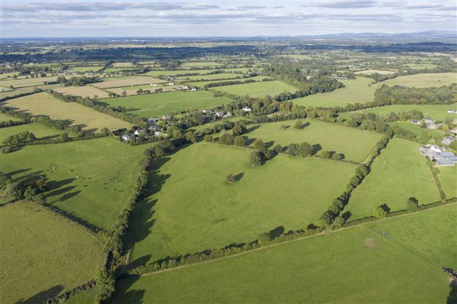 Martinstown, The Curragh, - approx. 31 acres, Co. Kildare