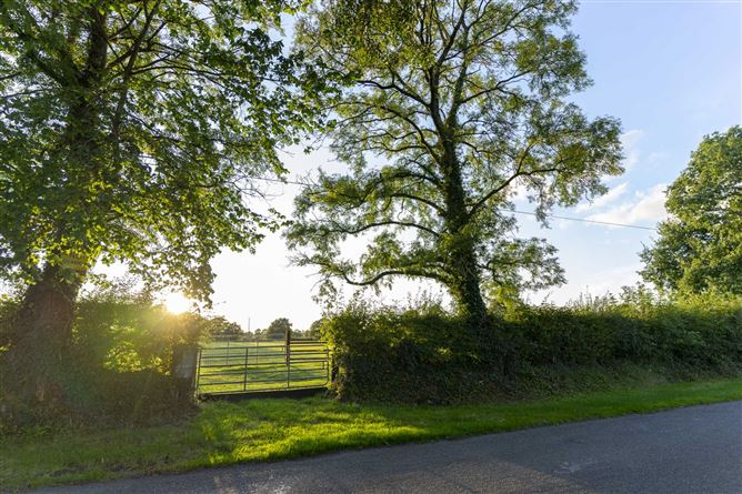 Martinstown, The Curragh, - approx. 31 acres, Co. Kildare