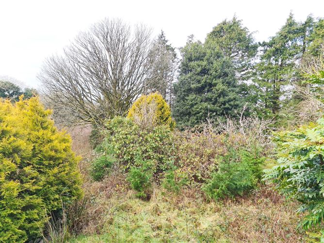 Lahana, Drimoleague, Cork