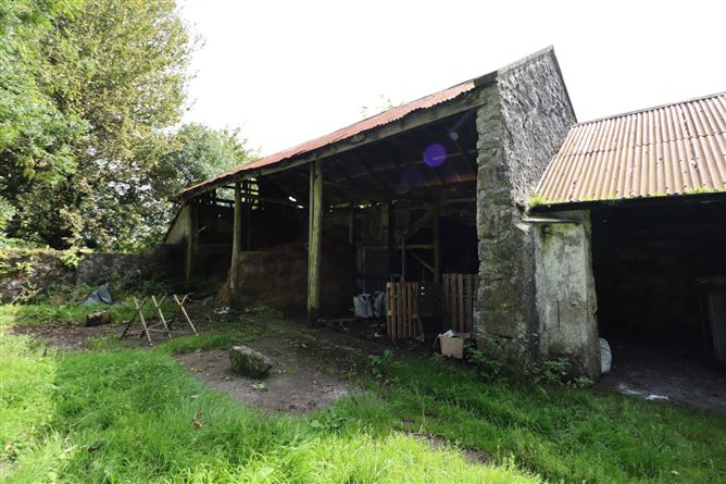 The Old Farmhouse`, Carrigeen, Craughwell, County Galway
