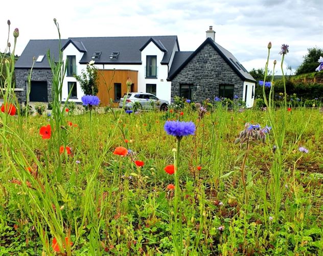 Knockrooskey, Westport, Mayo