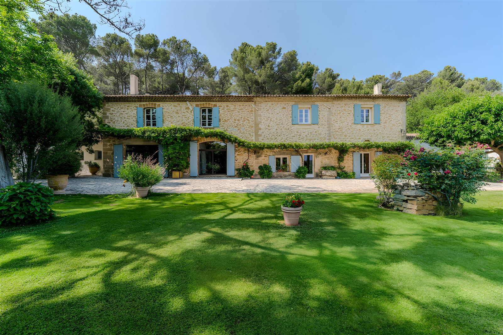 Photo 1 of 10 — Plane Trees at Lambesc,Lambesc,Provence-Alps-French Riviera,France
